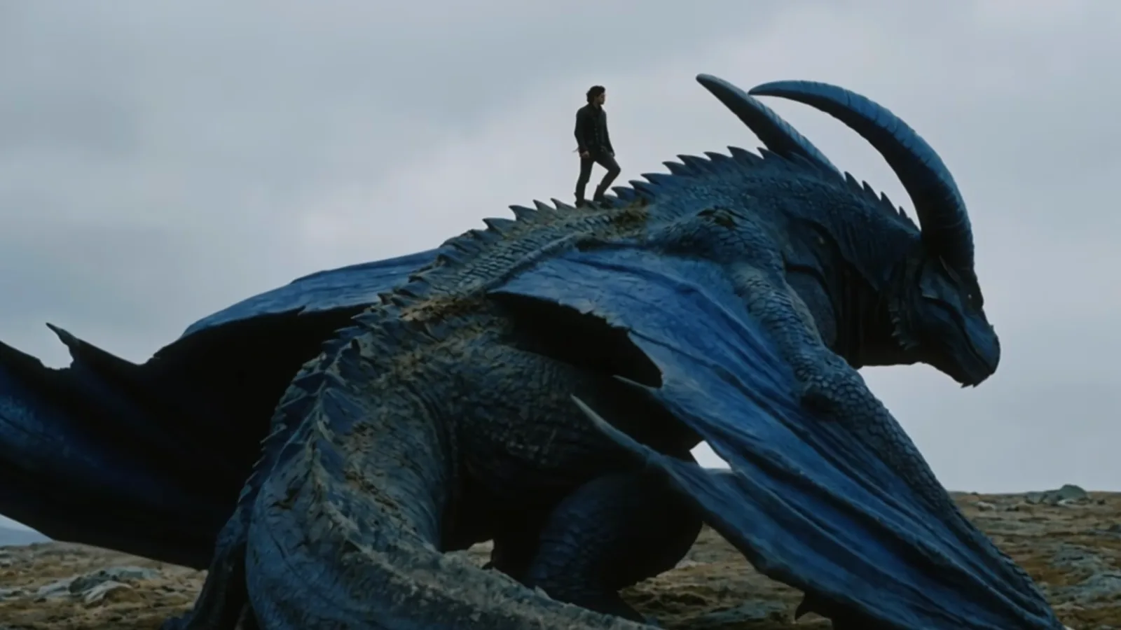 A newly bonded rider walks along the back of a huge black dragon with one wing spread across a rocky ridge
